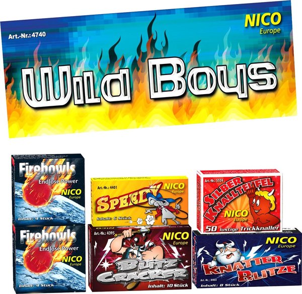 Wild Boys, 6 Schachteln sortiert