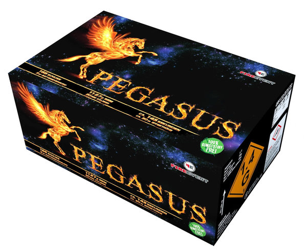 Pegasus, 166 Schuss
